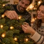 Lampki choinkowe szyszki 16 LED 7 cm ciepły biały KAEMINGK 491574