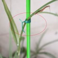 Drut do podwiązywania roślin fot.3