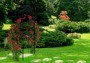Pergola ogrodowa- bramka łuk 260cm