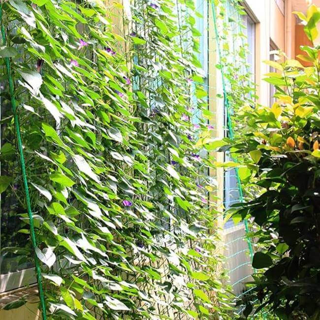 Siatka zabezpieczająca fot.4
