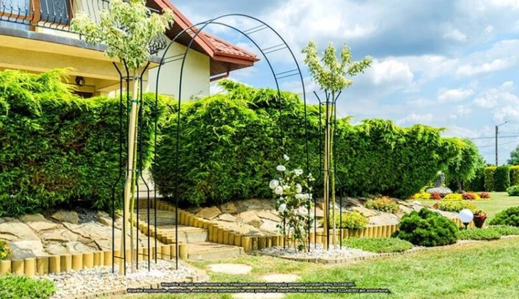 Pergola Capri