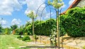 Pergola Capri