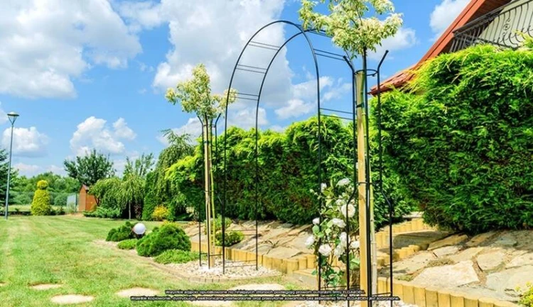 Pergola Capri