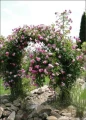 Pergola ogrodowa 110x39x230 cm