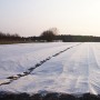 Agrowłóknina wiosenna